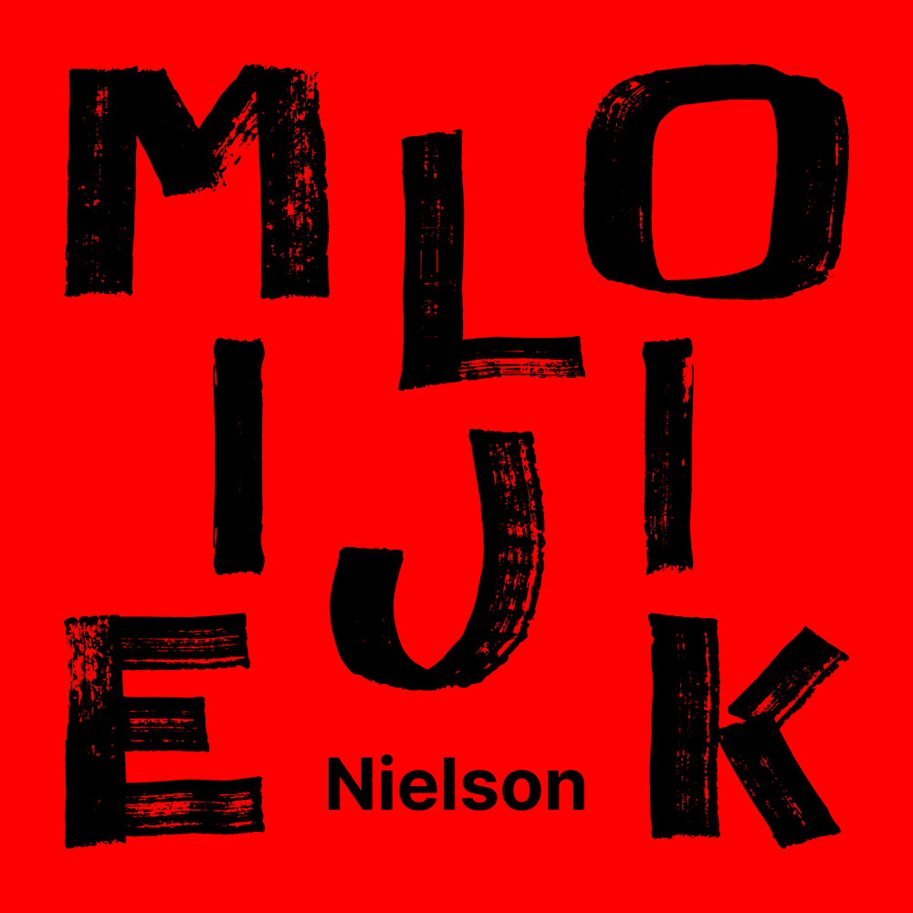 Cover image for Moeilijk 