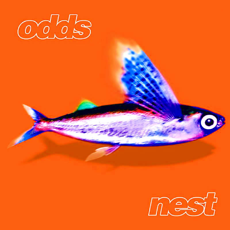 Album cover art for "Someone Who’s Cool" by Odds