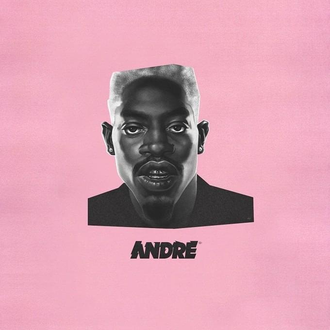 Cover image for ANDRÉ