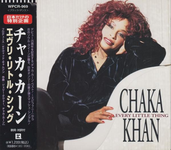 Album cover art for "Every Little Thing" by Chaka Khan
