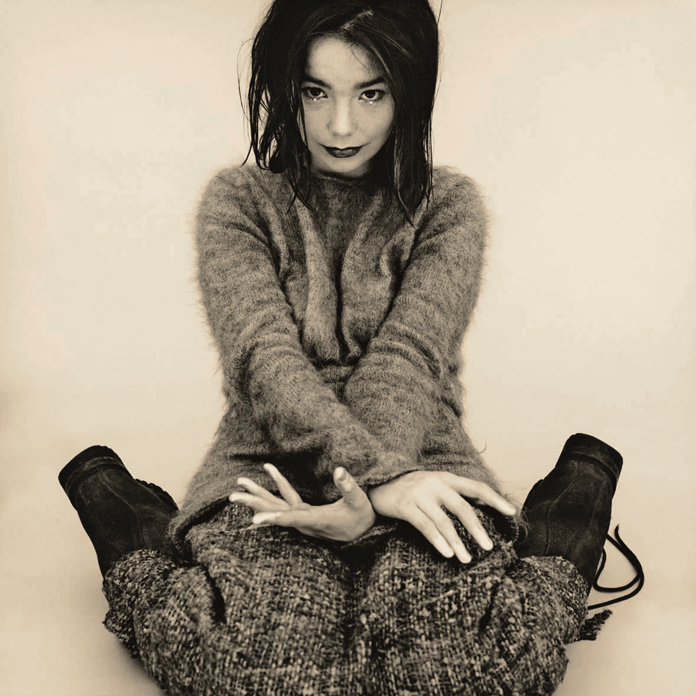 Album cover art for "Violently Happy" by Björk