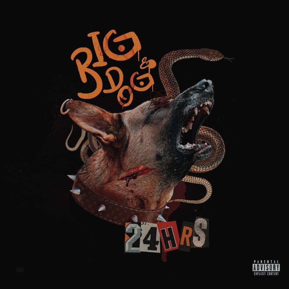 Cover image for Big Dog