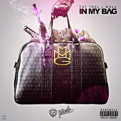 In My Bag by Fat Trel