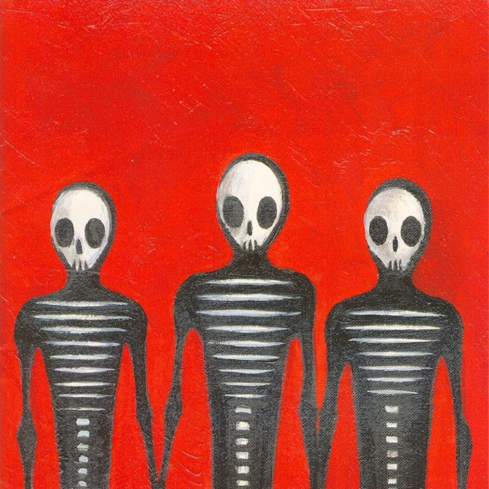 Cover image for Il sogno del gorilla bianco