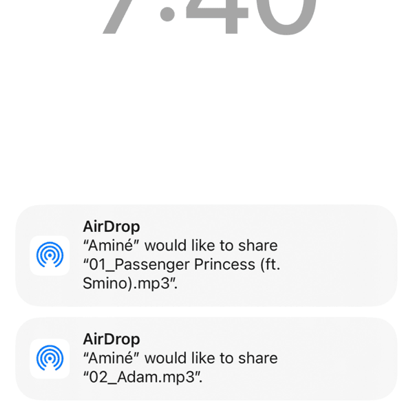 Cover image for Passenger Princess / Adam