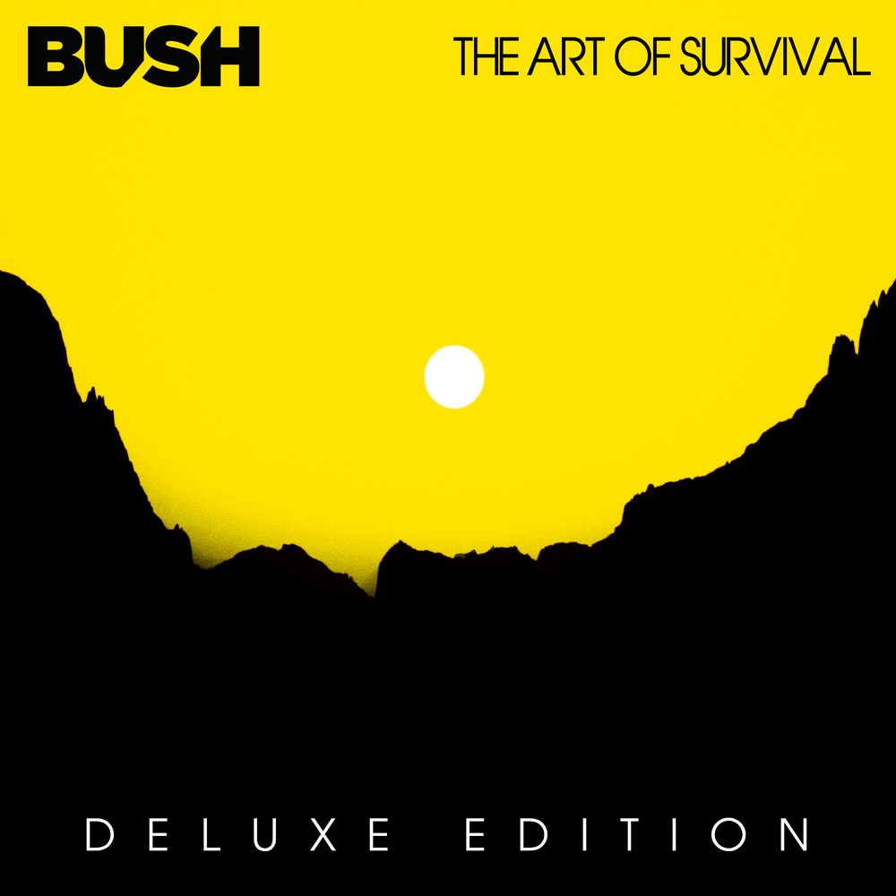 Album cover art for "All Things Must Change" by Bush
