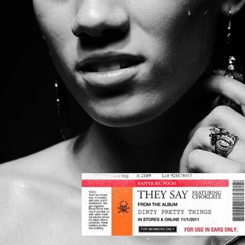 Album cover art for "They Say" by Rapper Big Pooh & Choklate