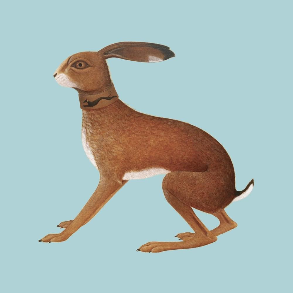 Album cover art for "Here Before (Demo, 2005)" by Vashti Bunyan