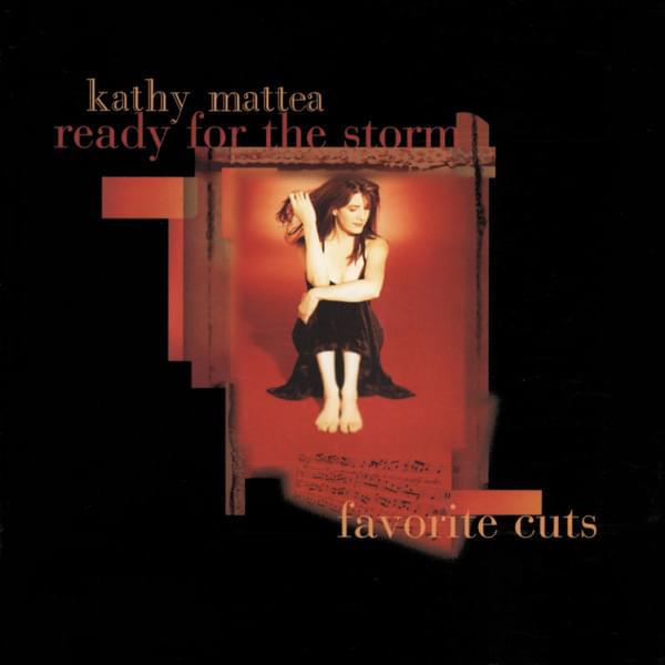 Cover image for Ready For The Storm