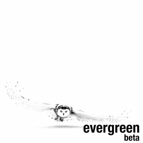 Cover image for ​evergreen(beta)
