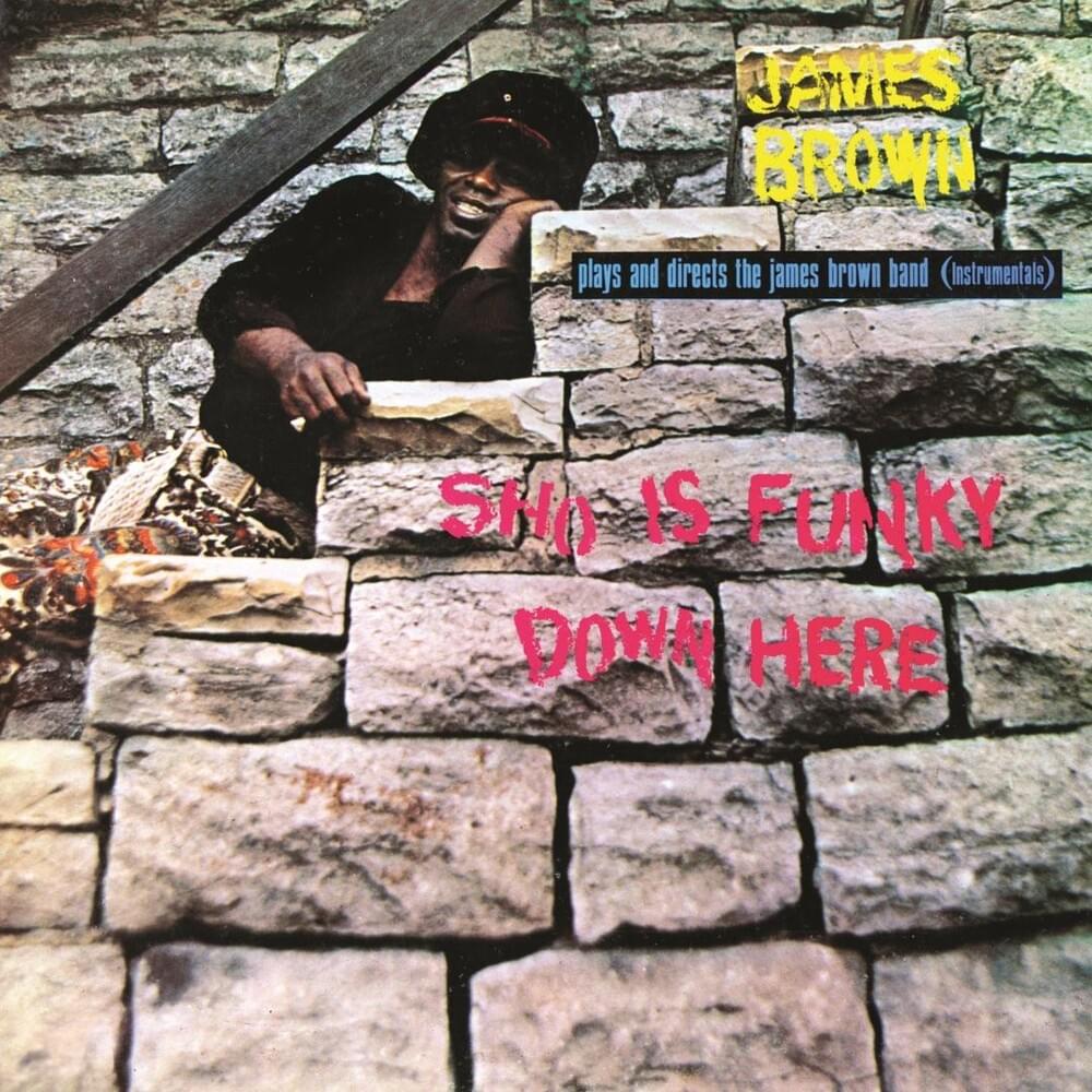 Album cover art for "You Mother You" by James Brown