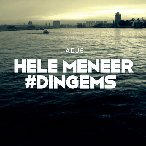 Cover image for Hele Meneer #Dingems