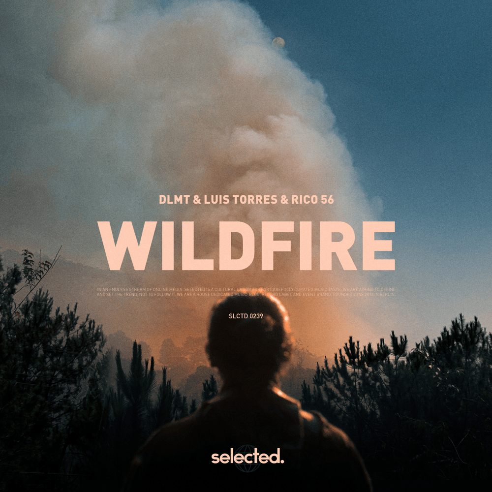 Cover image for Wildfire