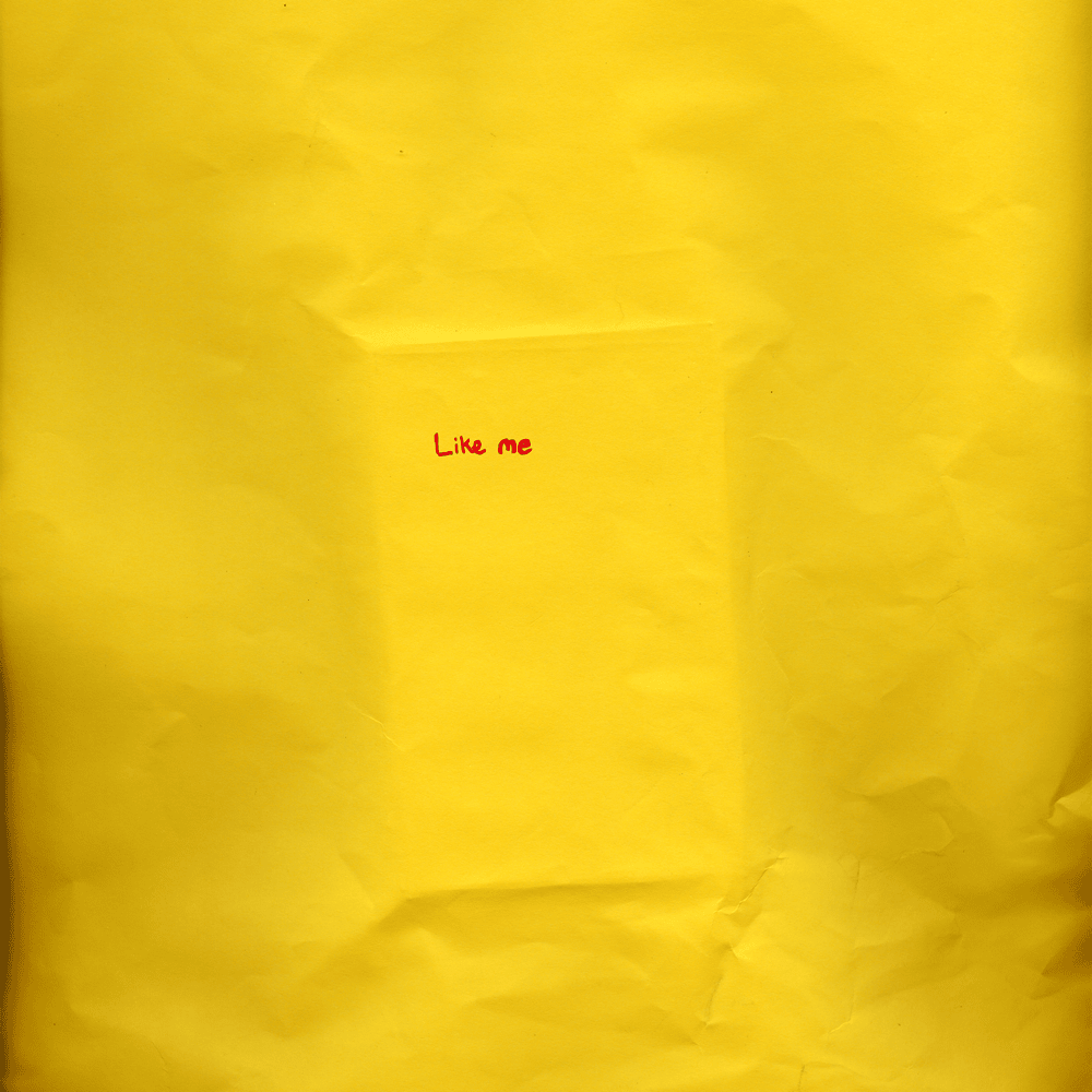Album cover art for "Like Me" by Allan Rayman