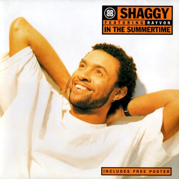 Album cover art for "In the Summertime" by NOW That’s What I Call Music!