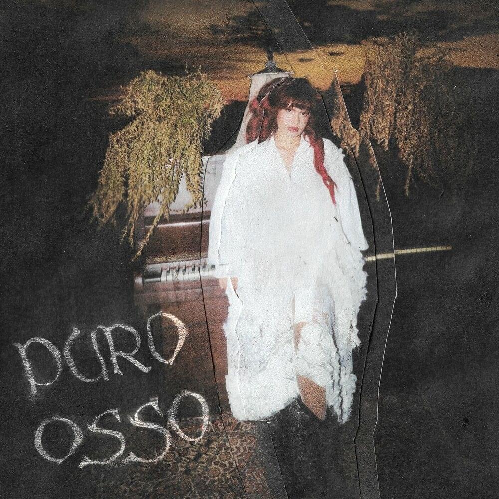 Album cover art for "puro osso" by Lou Garcia