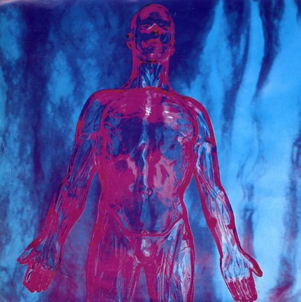 Album cover art for "Dive" by Nirvana