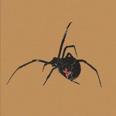 Album cover art for "Miss America" by Midwife