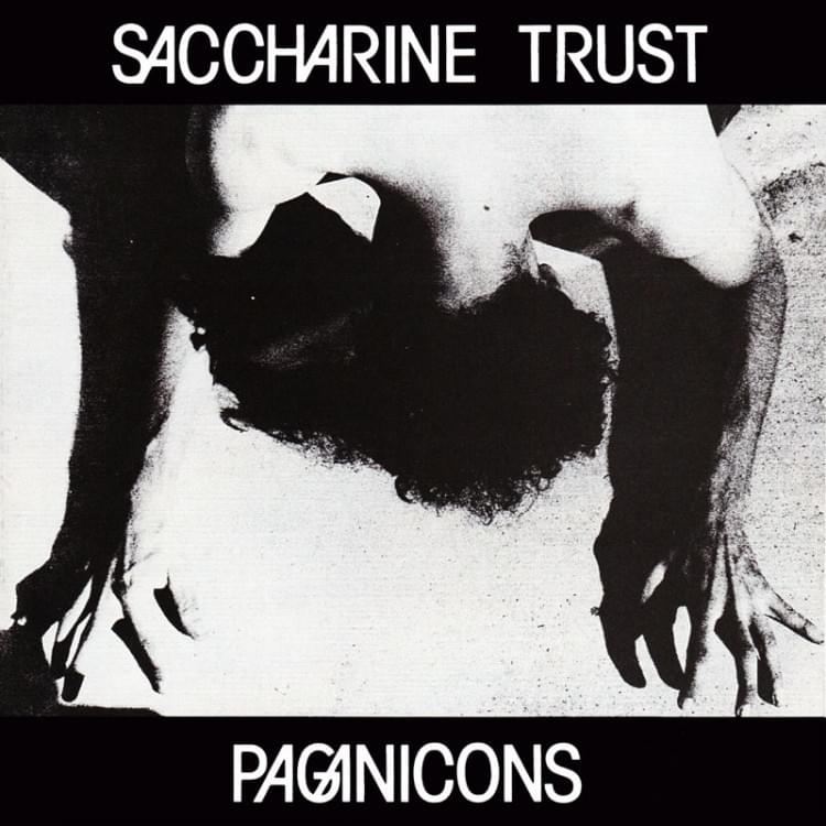 Album cover art for "A Human Certainty" by Saccharine Trust