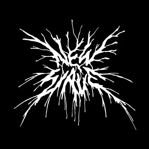 Cover image for NEWWAVE RECORDS