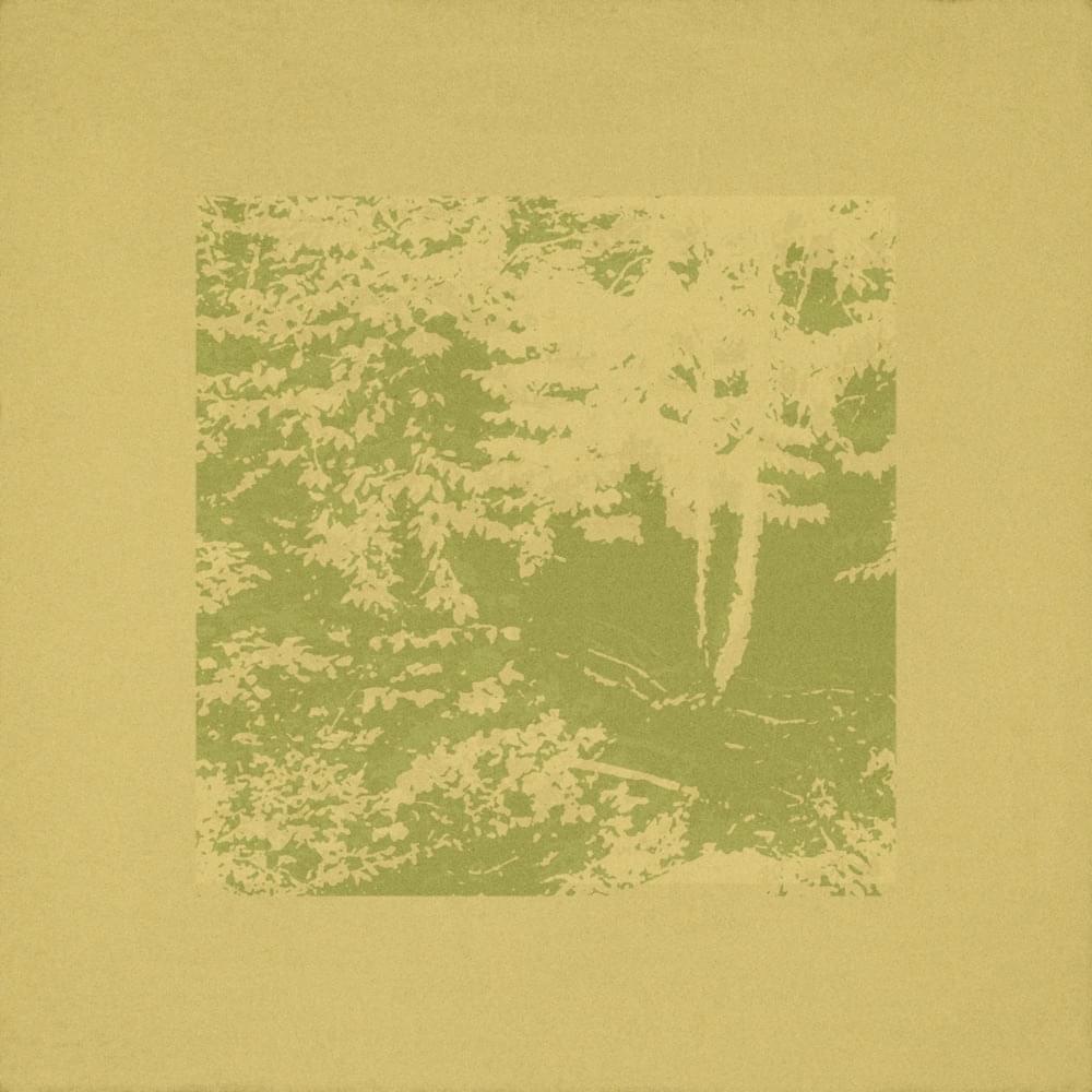 Album cover art for "Need Nothing" by The Antlers