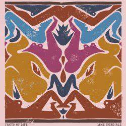 Album cover art for "Facts of Life" by Lime Cordiale