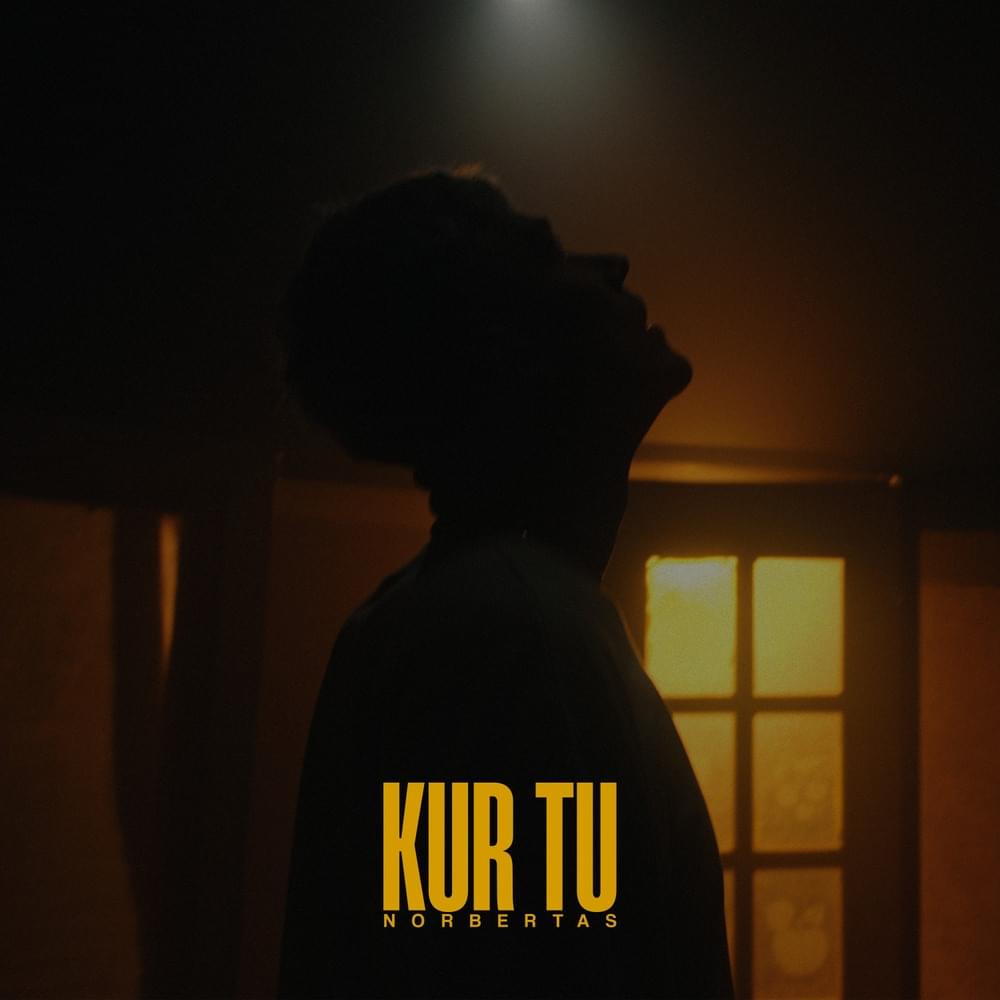 Cover image for Kur tu