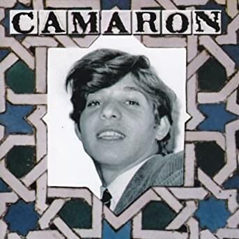 Cover image for Venta de Vargas