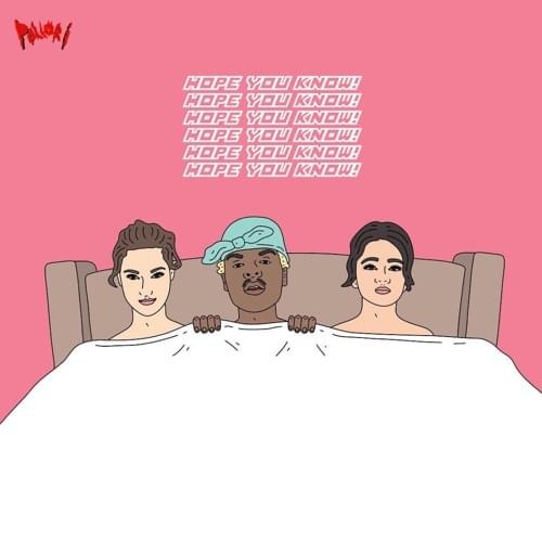 Album cover art for "Hope You Know!" by Pollari