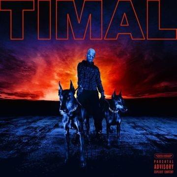 Album cover art for "Copilote" by Timal
