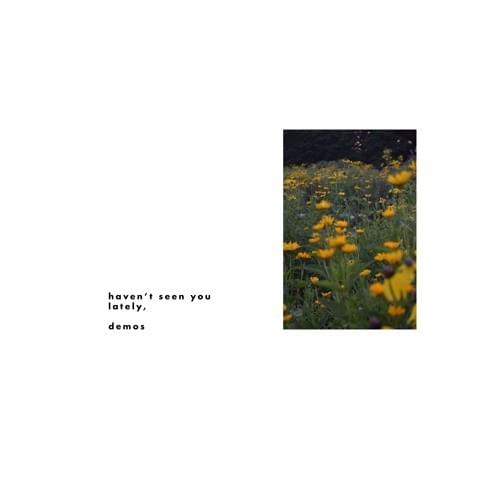 Cover image for haven’t seen you lately