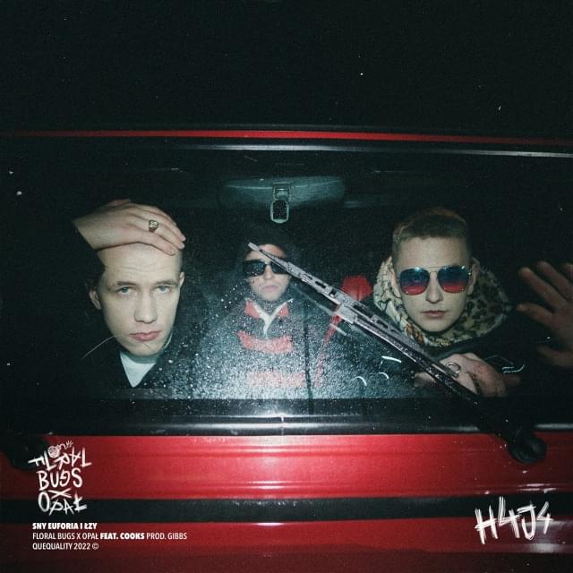 Album cover art for "Sny, euforia i łzy" by Opał & Cooks