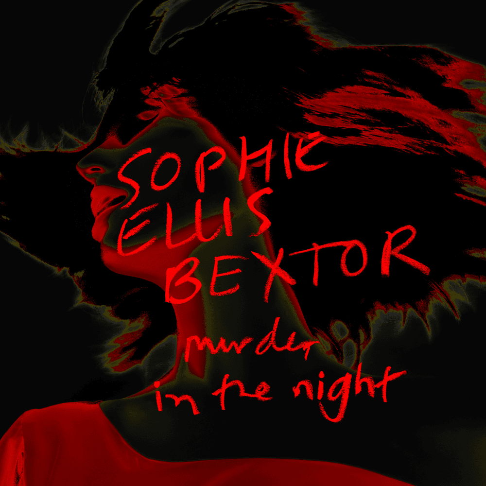Cover image for Murder In The Night