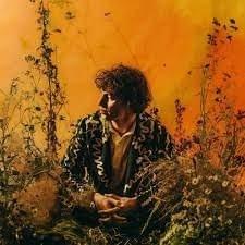 Photo of Cosmo Sheldrake