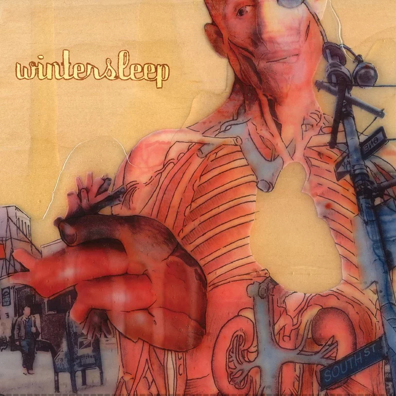 Album cover art for "Damage" by Wintersleep