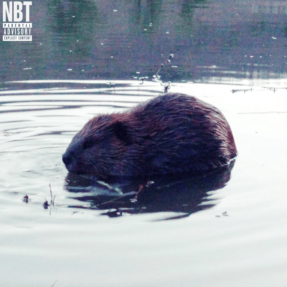 Album cover art for "BEAVER" by Shed Theory & Marlon DuBois & Milkreset & Aceii & Henry Mosto & ​Ricky Chix & Dugan