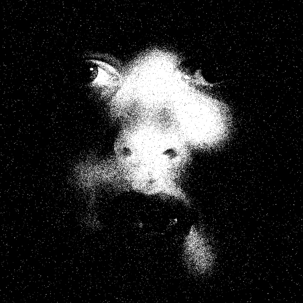 Album cover art for "Reagan’s Skeleton" by Yeasayer