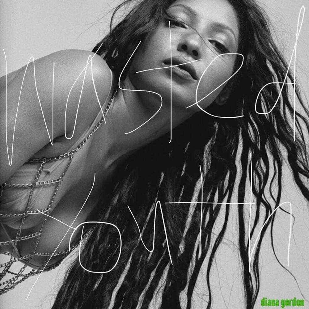 Cover image for Wasted Youth