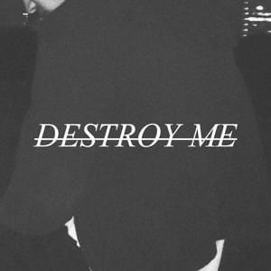 Destroy Me by Mr.Kitty