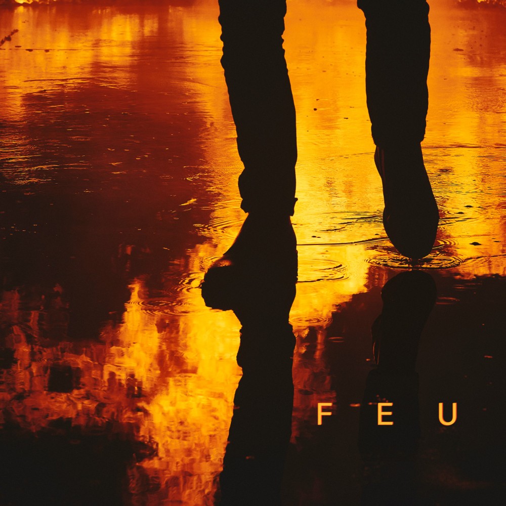 Risibles amours by Nekfeu