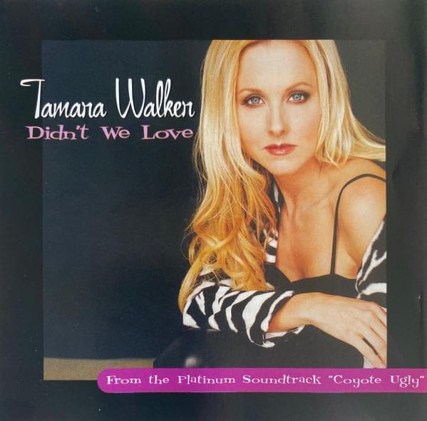 Album cover art for "Didn’t We Love" by Rare Blend