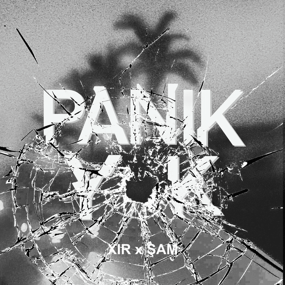 Album cover art for "PANİK YOK" by Xir