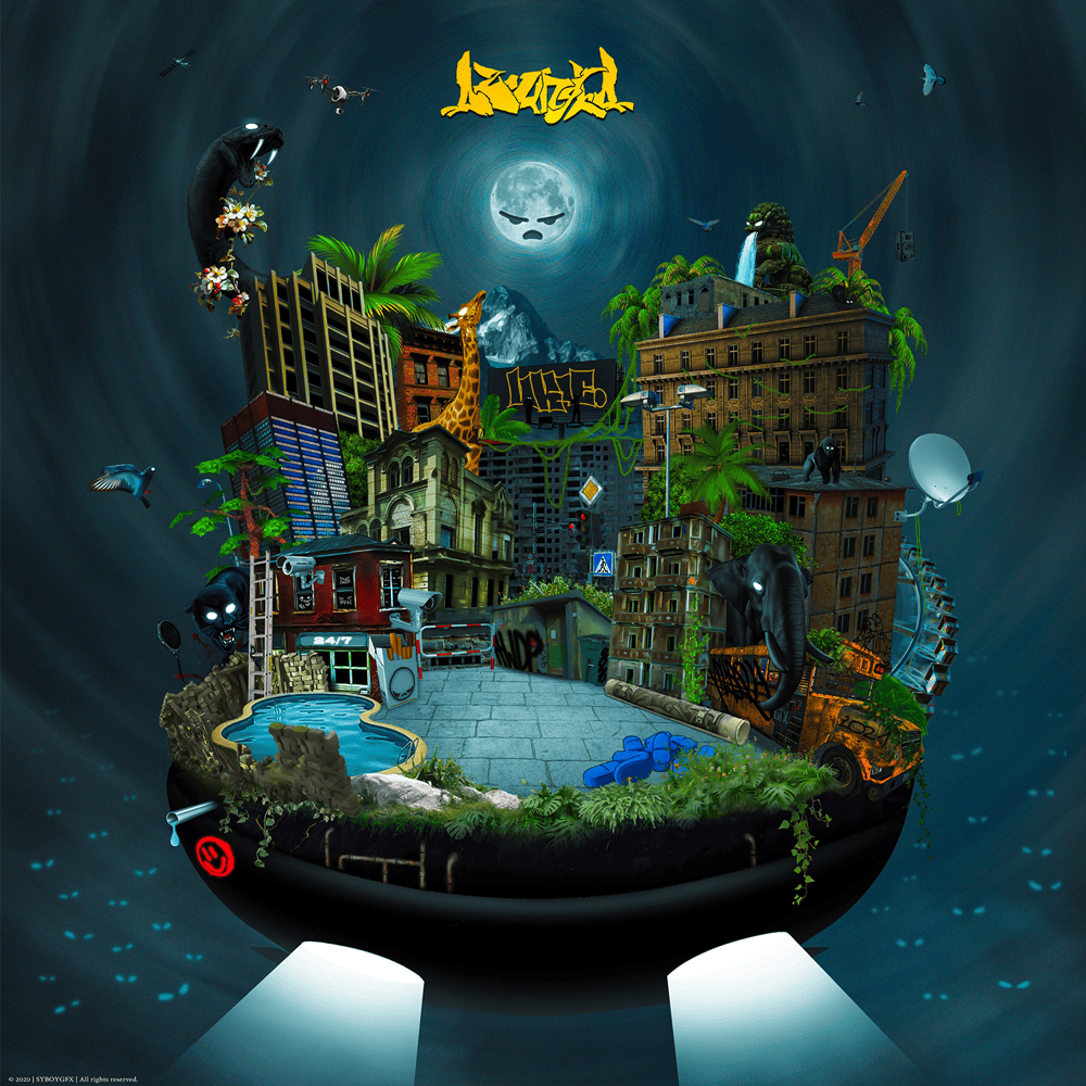 Cover image for DŻUNGLA