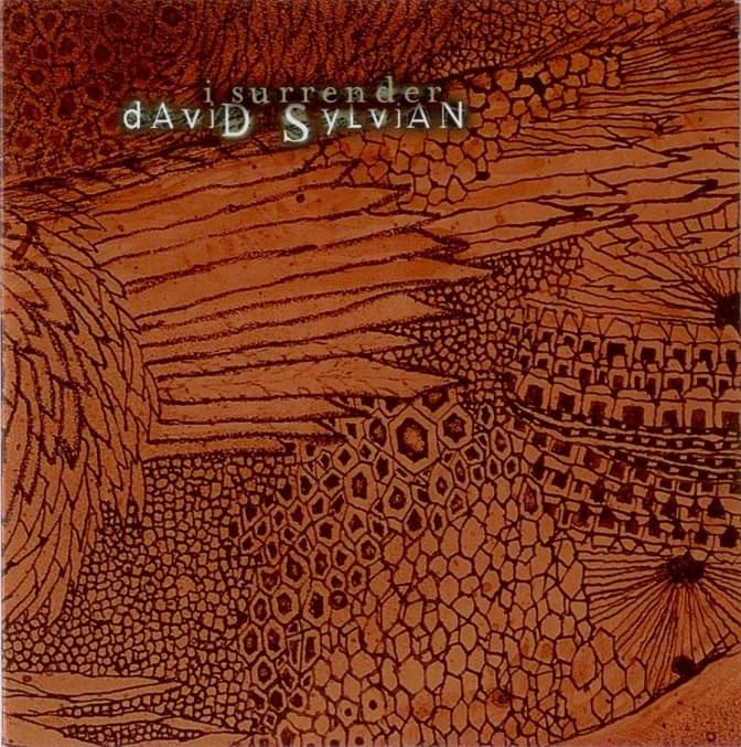 Album cover art for "I Surrender" by David Sylvian