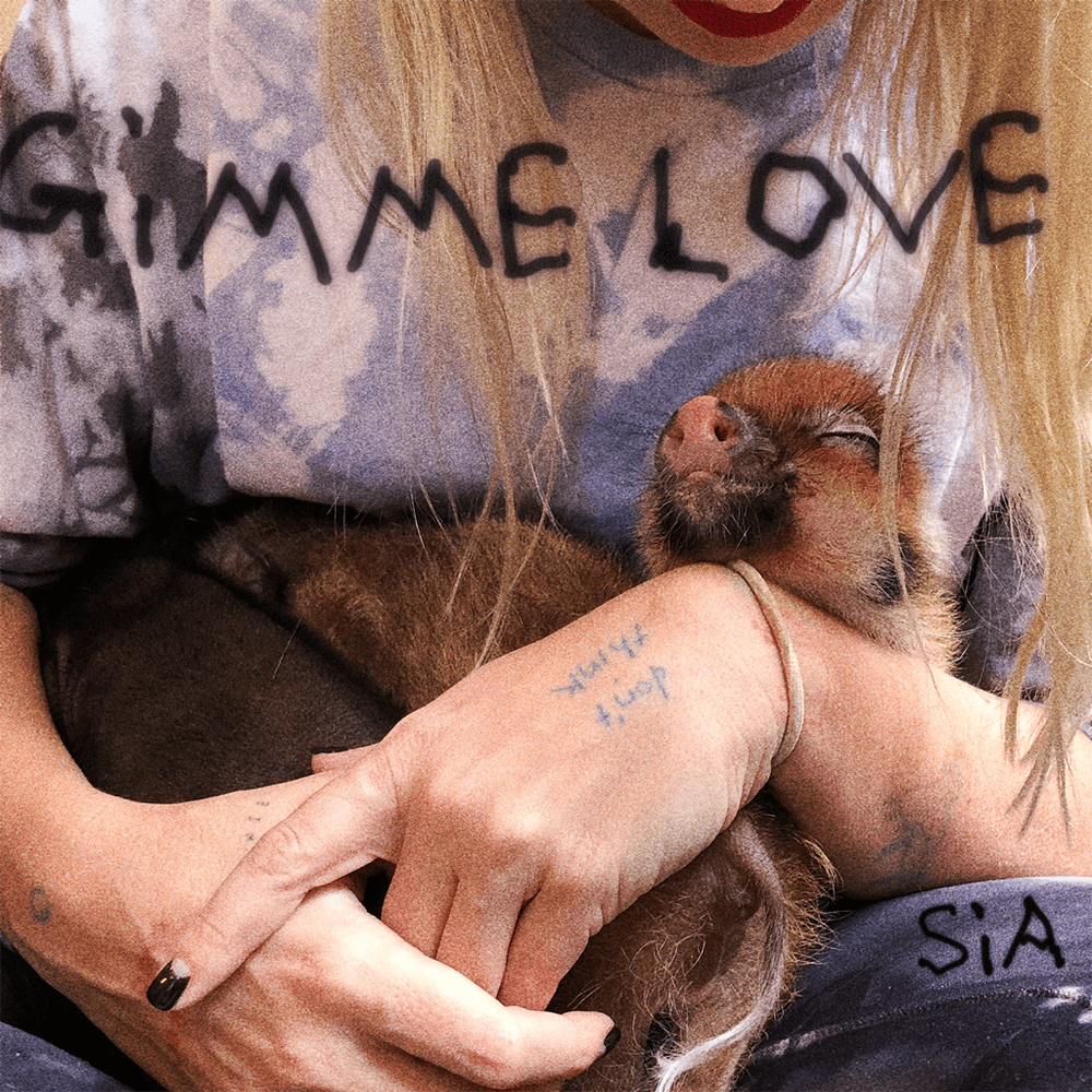 Album cover art for "Gimme Love" by Sia