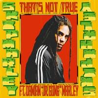 That’s Not True by Skip Marley
