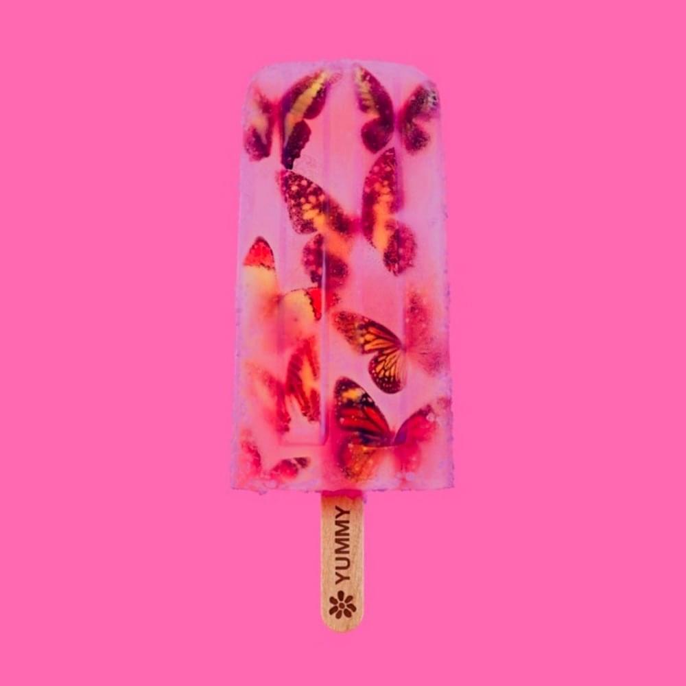 Cover image for Yummy + Pudding