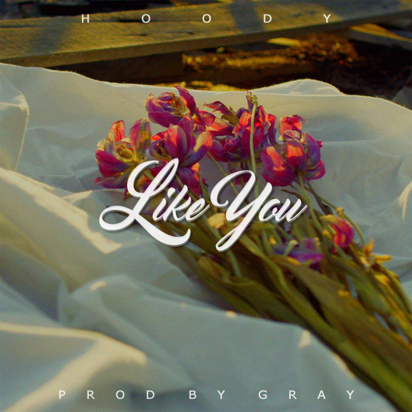 Album cover art for "Like You" by Hoody (후디)