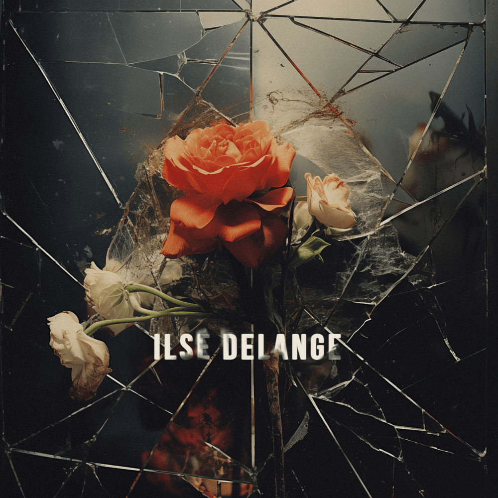Album cover art for "Easy Come, Easy Go" by Ilse DeLange