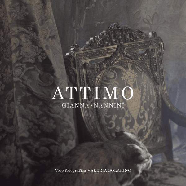 Album cover art for "Attimo" by Gianna Nannini